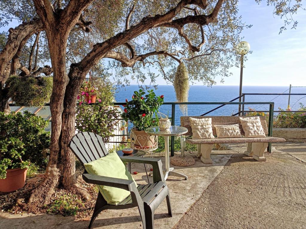 une terrasse avec un arbre, un banc et une table dans l'établissement Gli Orti sul mare 1, à Bordighera