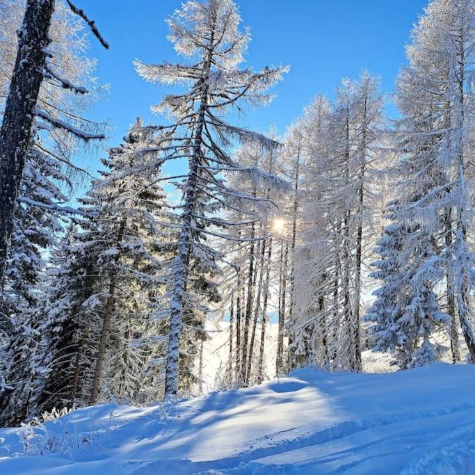Atemberaubende Aussicht, direkter Pistenzugang talvel