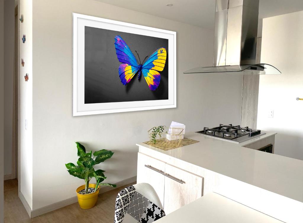 a butterfly picture hanging on a wall in a kitchen at Moderno con vista, al lado de CC Mayorca y Metro in Sabaneta