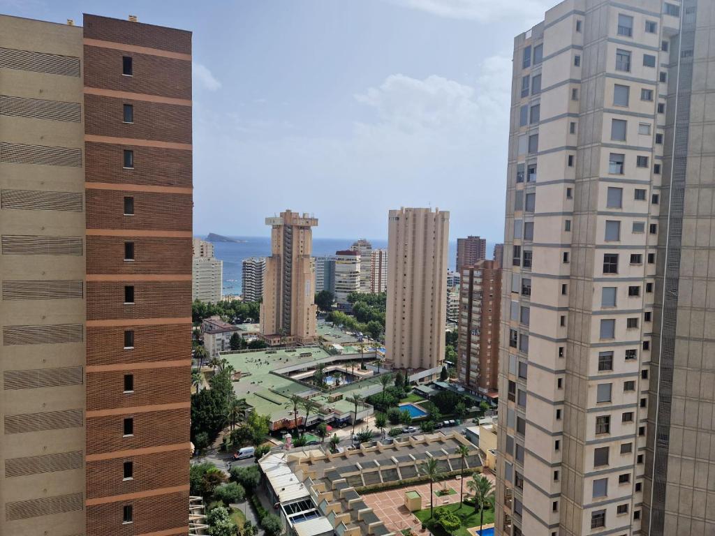 https://cf.bstatic.com/xdata/images/hotel/max1024x768/524929661.jpg?k=9e8e2a2bb7d3a99c2aaecd5be5b24eb9ebf99af6ec9588f93820e64c680a92cf&o=&hp=1