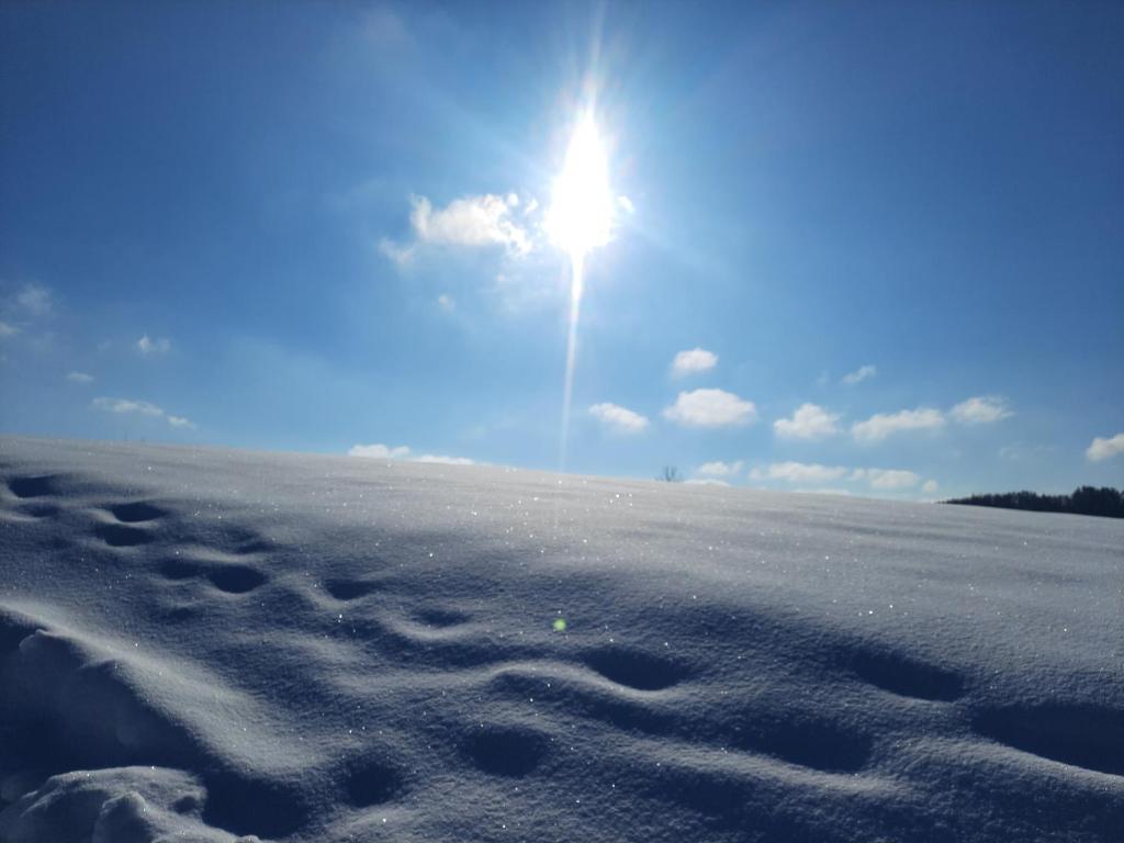 Príroda v okolí dovolenkového domu