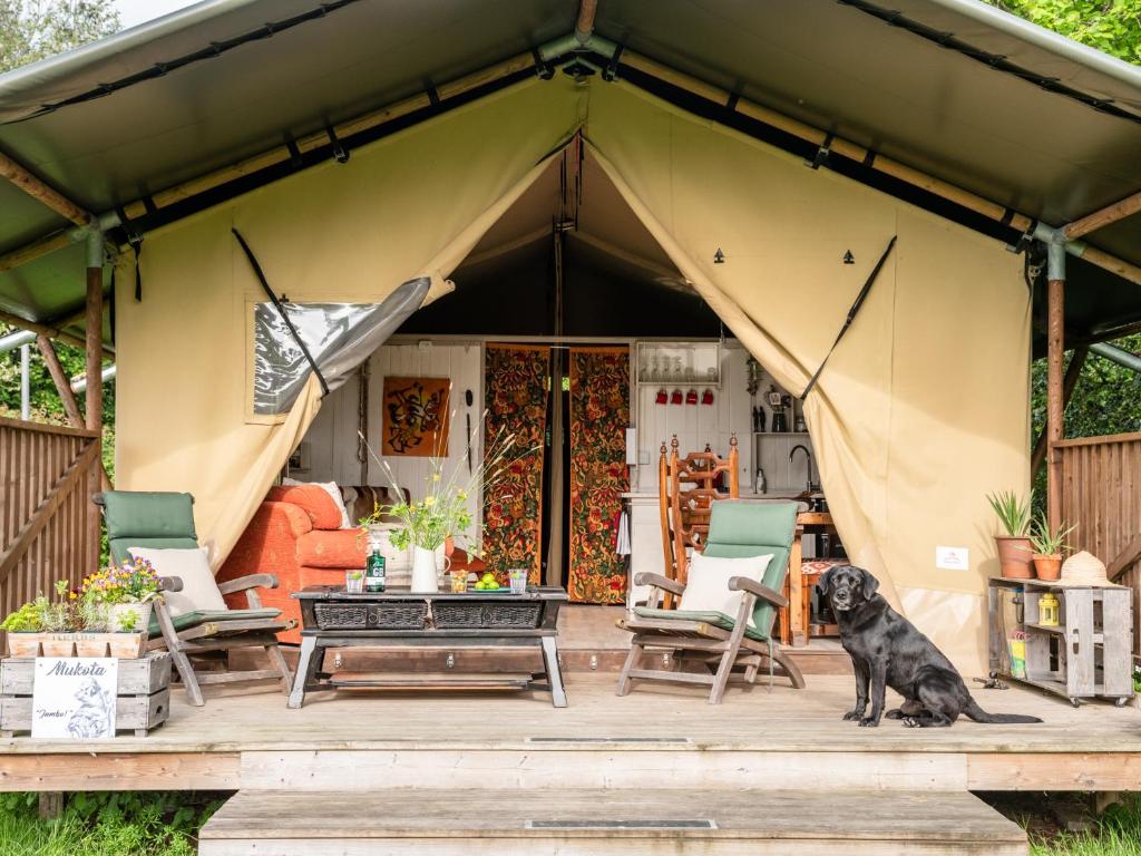 a dog sitting in front of a tent at Black Pig Retreats Luxury Glamping in Shaftesbury