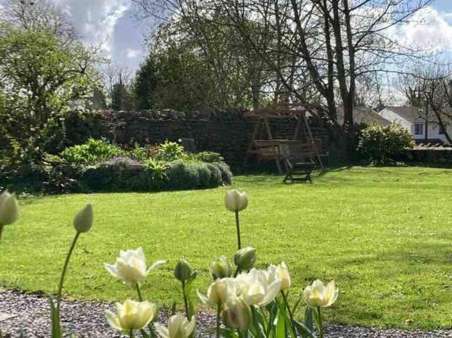 een tuin met witte bloemen in het gras bij Relaxing studio and garden in St Hilary in Cowbridge