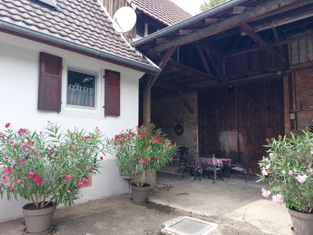 ein weißes Haus mit Topfpflanzen und einer Terrasse in der Unterkunft Kleines Bauernhaus mit nostalgischem Flair in Rheinhausen