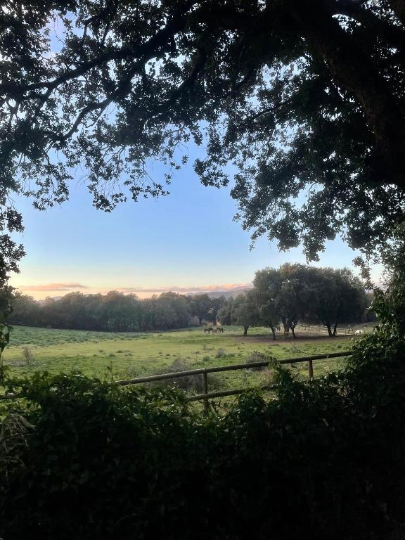 - une vue sur un champ arboré et une clôture dans l'établissement Maison de campagne entre Ajaccio et Porticcio, à Cauro
