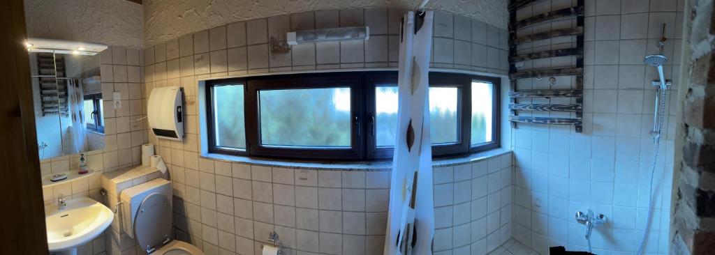 bagno con finestra, servizi igienici e lavandino di Trusties a Dirbach