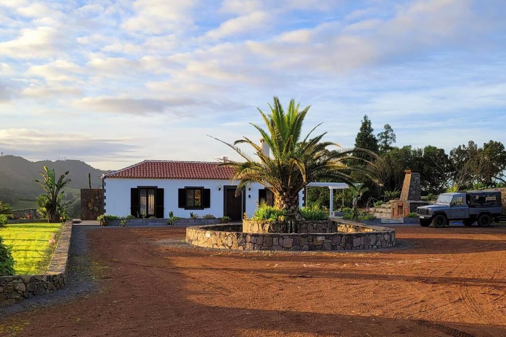 a house with a palm tree in front of it at Quinta Erva Doce in Vila do Porto