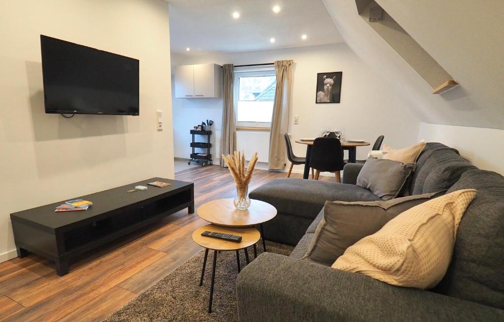 un salon avec un canapé et une télévision dans l'établissement Ferienwohnung am Okertal, à Goslar