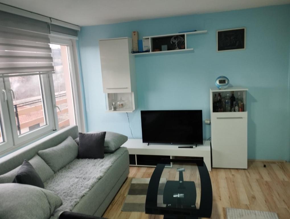 a living room with a couch and a flat screen tv at Sobe Popovica in Soko Banja
