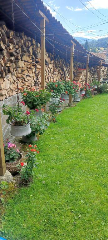 Zahrada ubytování Hotel Rai