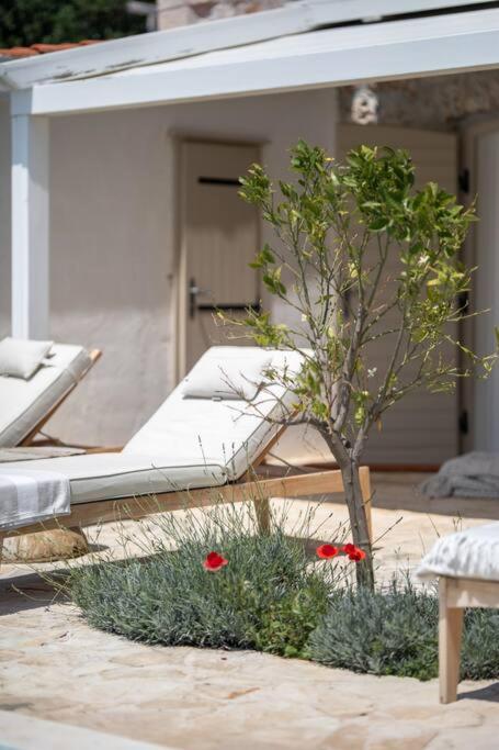 Zahrada ubytování Villa Grace Breathtaking Views of the Adriatic