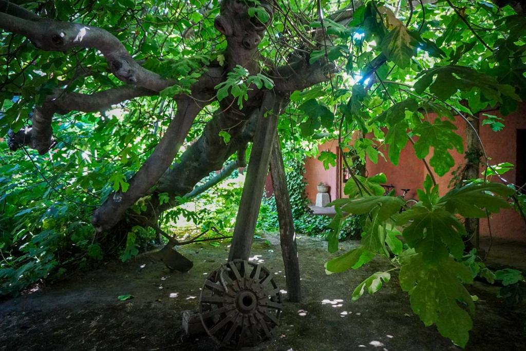 Zahrada ubytování ENTRE VIÑAS
