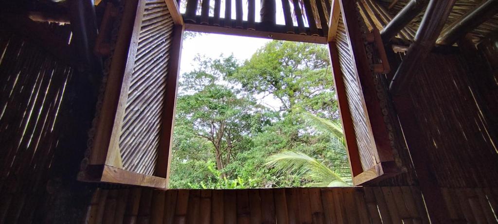 a window in a wooden building with trees in the background at Polvo en el Aire in Santo Domingo