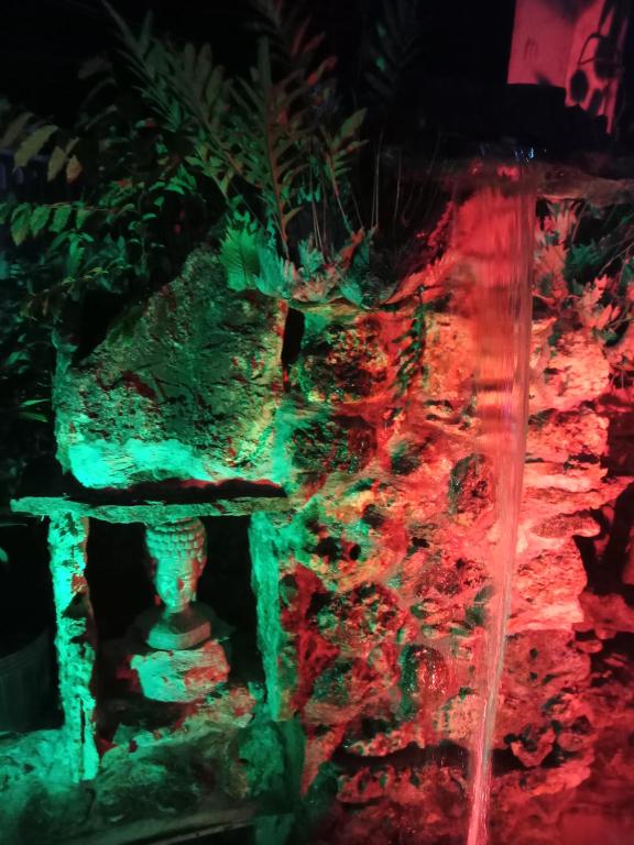 Fotografie z fotogalerie ubytování Czar's Place v destinaci Siquijor
