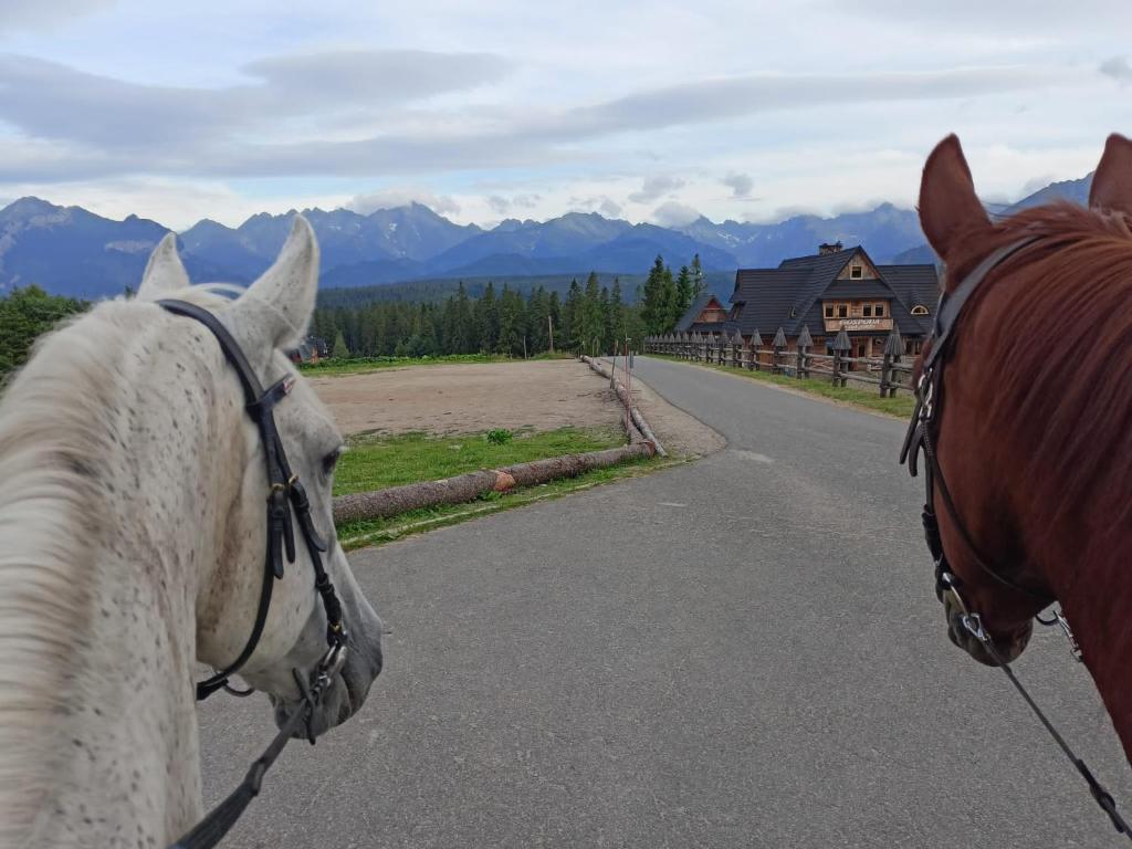 Leśny Zakątek - 18