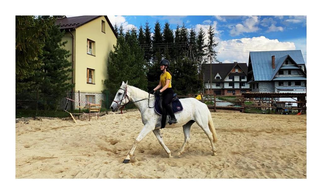 Leśny Zakątek - 16