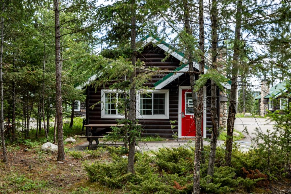 Zahrada ubytování Pine Bungalows