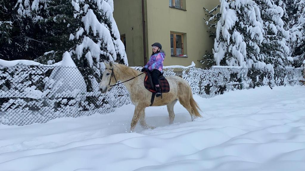 Leśny Zakątek - 17