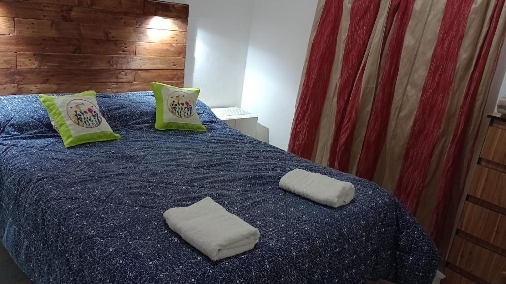 a bedroom with a blue bed with two pillows at Alojamiento Shanti in Vista Flores