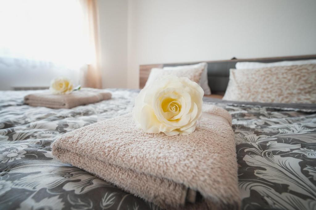 Pension Štěpán - 16