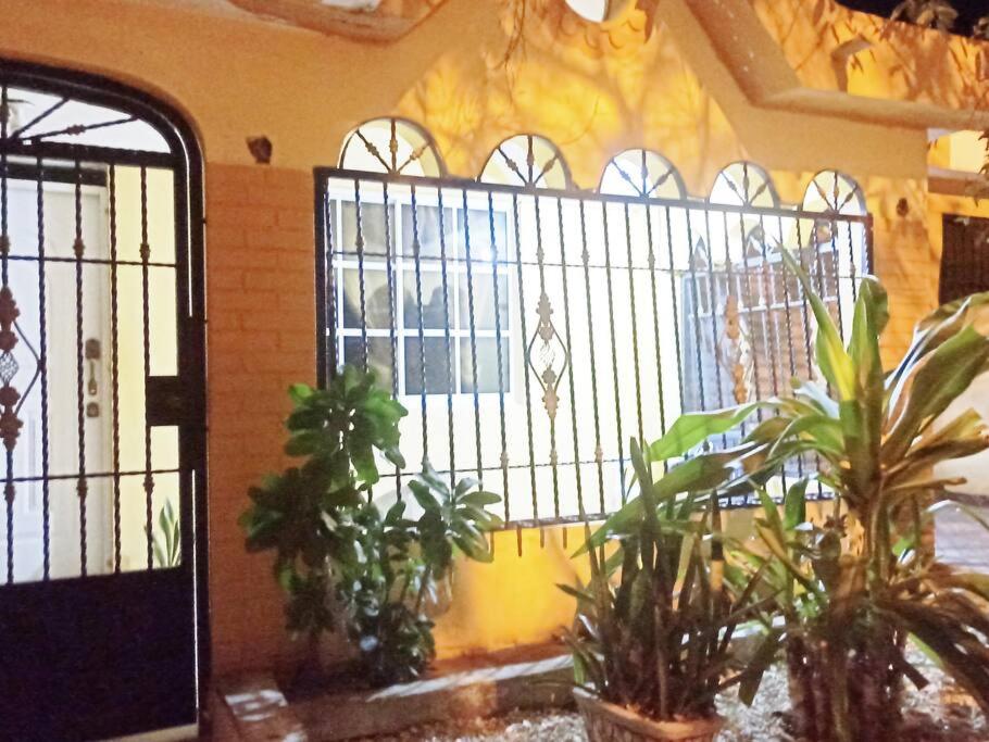 a room with a gate with plants in it at amplia y cómoda casa 
