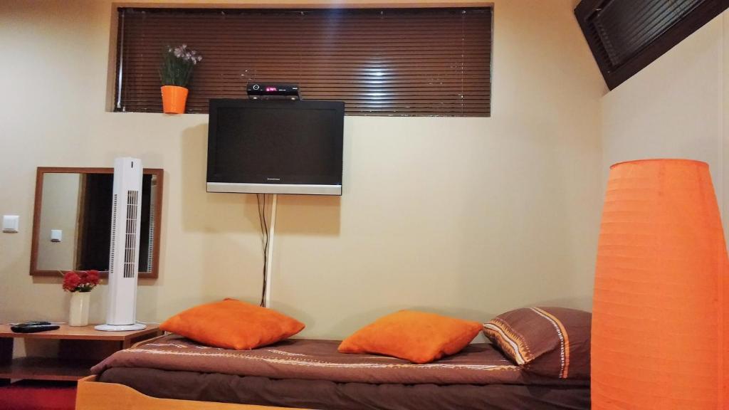 TV a/nebo společenská místnost v ubytování B&B Bazeni