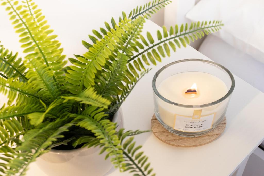 a candle sitting on a table next to a plant at Dream Suite in Como in Como