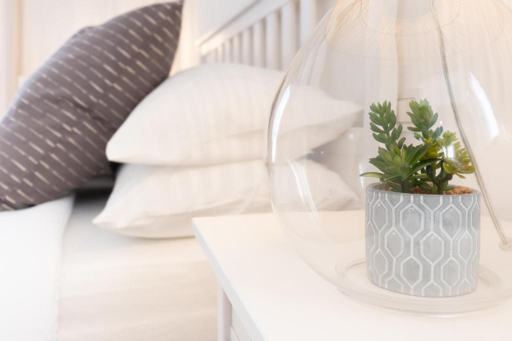 a plant in a vase on a table with pillows at Dream Suite in Como in Como