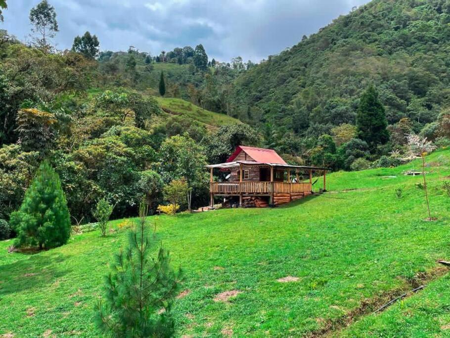 a house on a hill in a green field at Glamping Villa del Bosque in Santa Rosa de Cabal