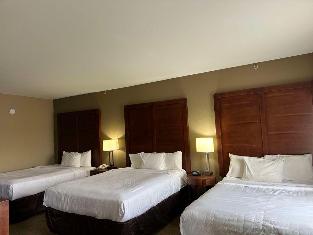 Vista Suites Pigeon Forge - SureStay Collection by BW - Queen Suite With Three Queen Beds And Sofa Bed - Non-Smoking