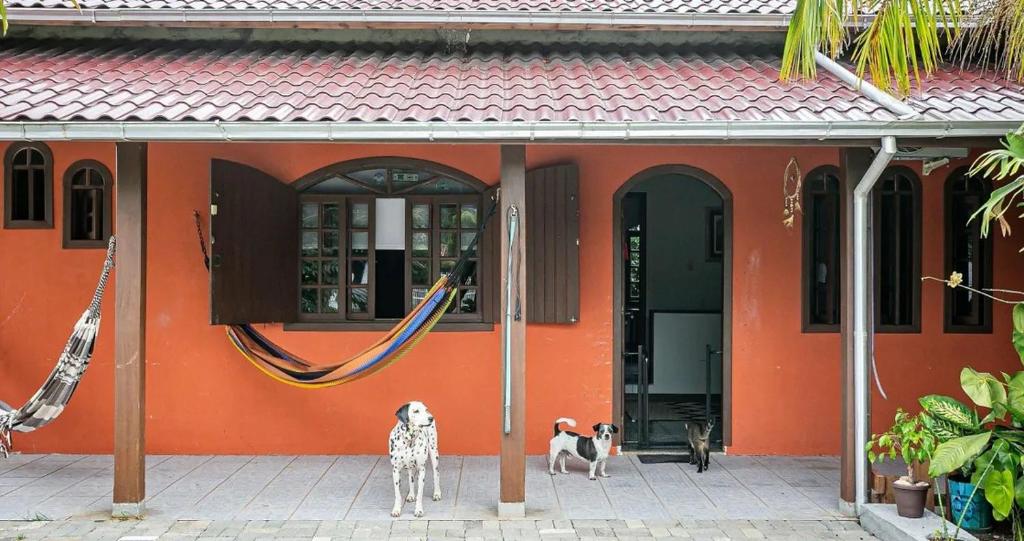 dos perros parados frente a un edificio en Casa no Campeche, en Florianópolis