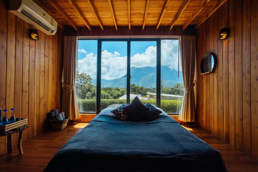 The CAMPIAN - Resim 40