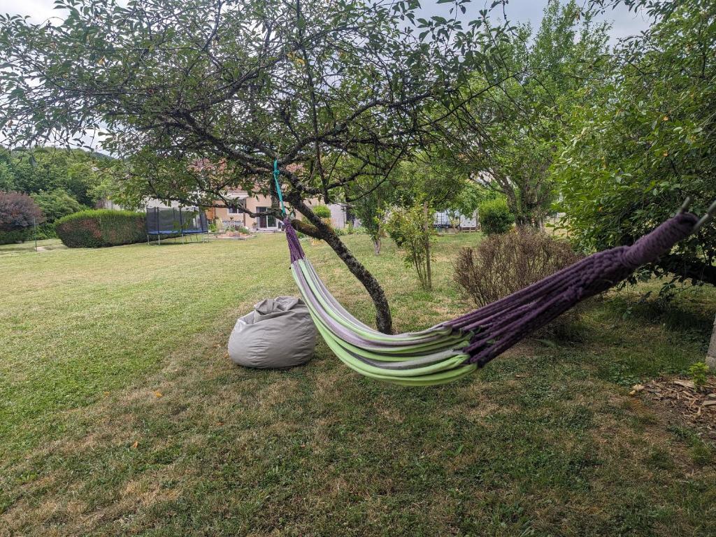 a hammock hanging from a tree in a yard at Guestroom Arbigny-sous-Varennes, 2 pièces, 4 personnes - FR-1-611-72 