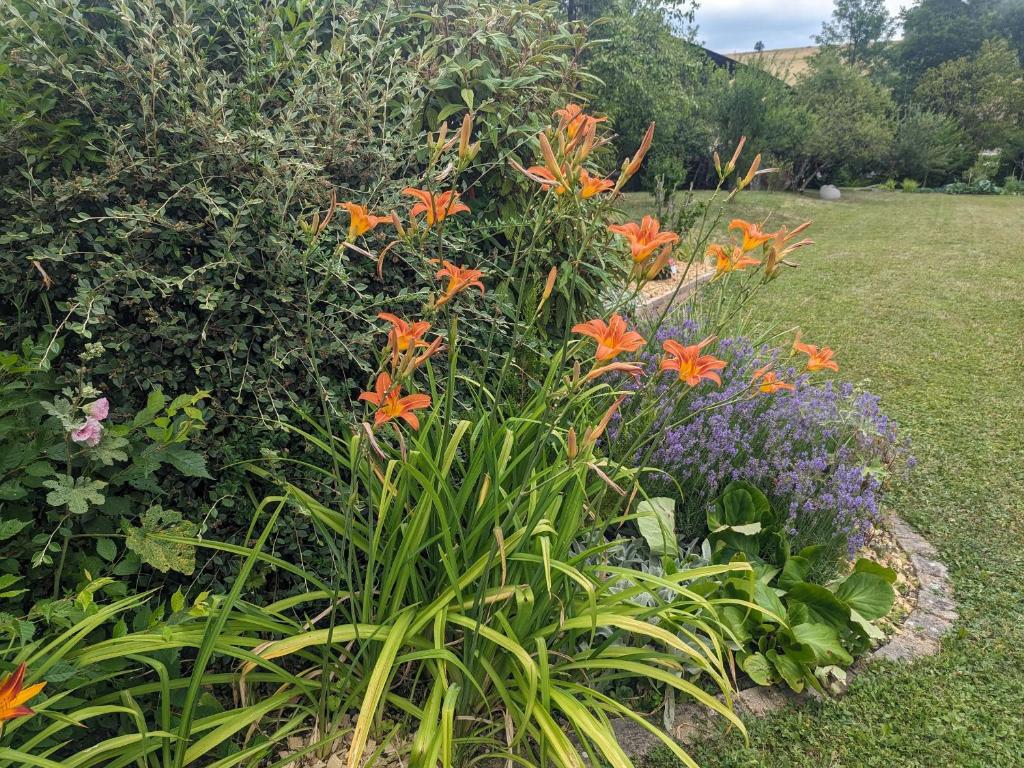 a garden with orange flowers and other plants at Guestroom Arbigny-sous-Varennes, 2 pièces, 4 personnes - FR-1-611-72 