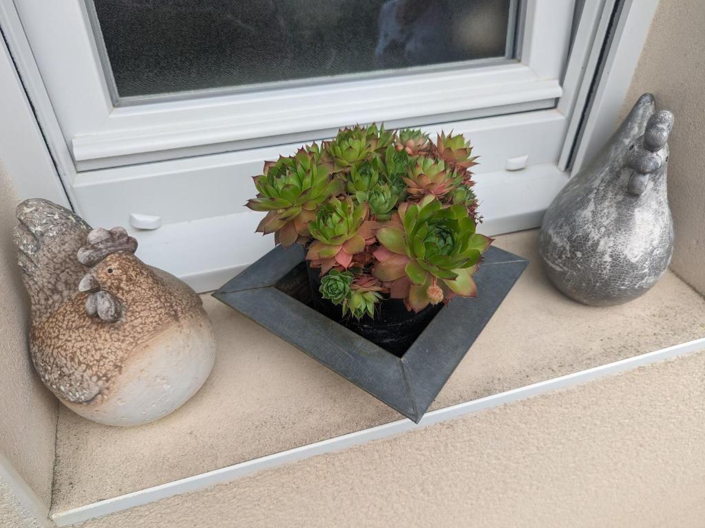 a vase with flowers on a window sill next to vases at Guestroom Arbigny-sous-Varennes, 2 pièces, 4 personnes - FR-1-611-72 