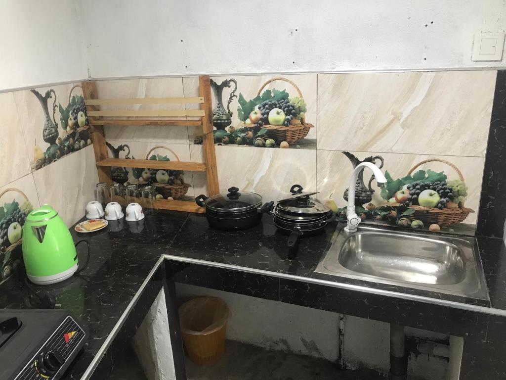 Kuchyň nebo kuchyňský kout v ubytování Abi Resort
