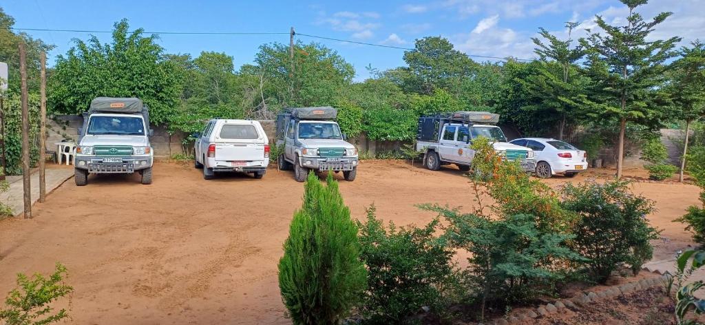 a group of trucks parked on a dirt road at Sunshinevibe guest house in Kasane