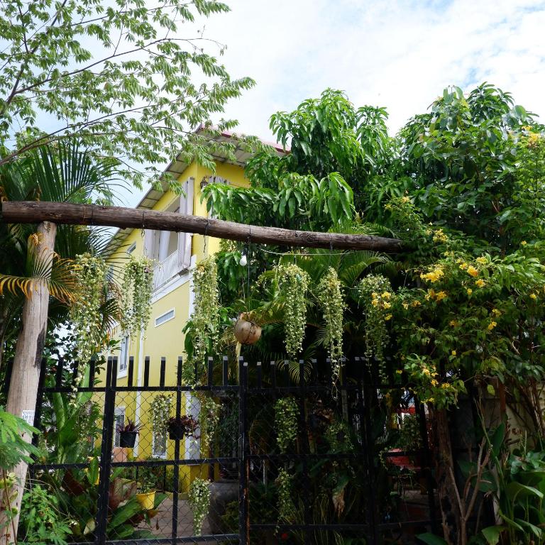 Homestay Yellow Natural House