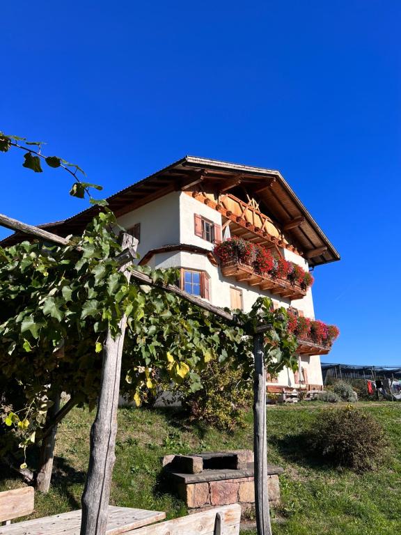 Une maison avec un tas de plantes sur elle dans l'établissement Gasserhof, à Barbiano