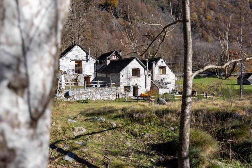 een oud huis in het midden van een veld bij Verzasca Lodge Elma in Sonogno