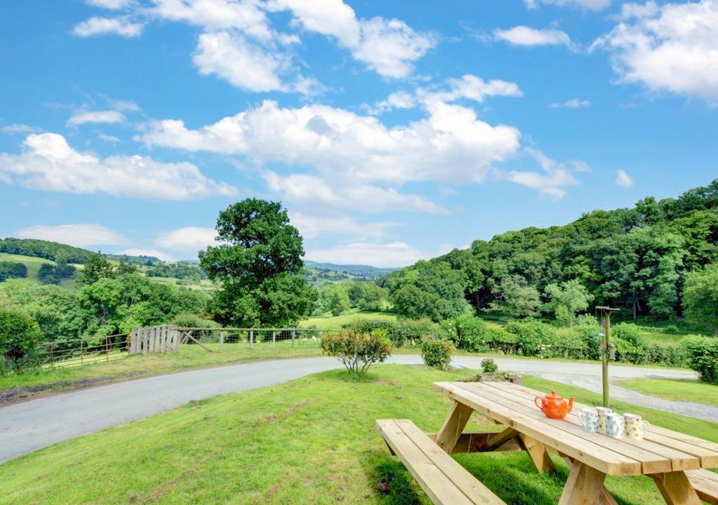 a wooden picnic table in the grass near a road at Pandy Barn in Berriew