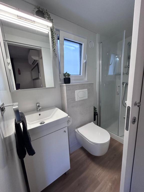 Koupelna v ubytování Mobile home FJAKA