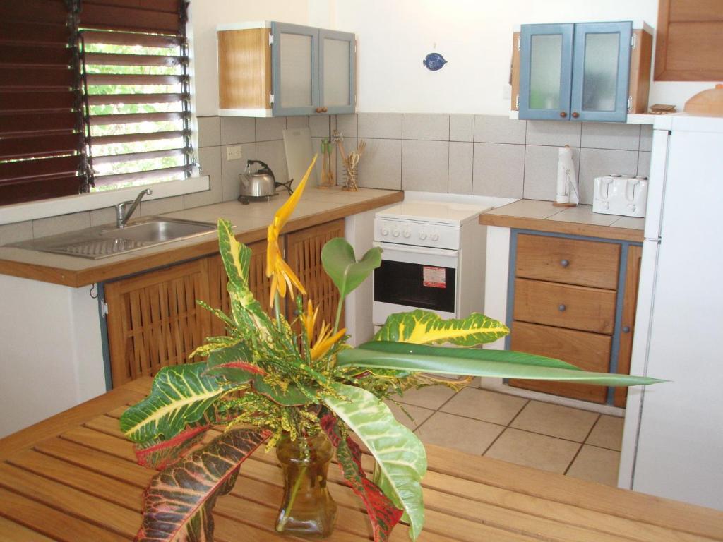 Kuchyň nebo kuchyňský kout v ubytování The Nest Tobago Apartments