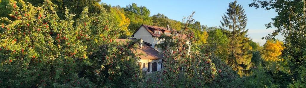 una casa al lado de una colina con árboles en U Středohoře 