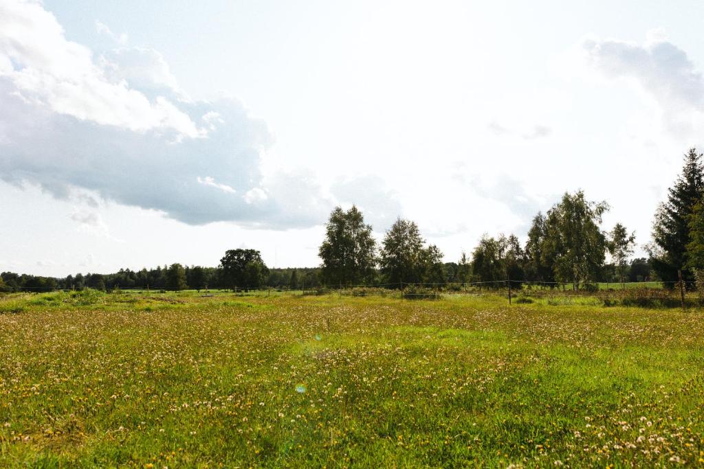 Příroda nedaleko luxury tent