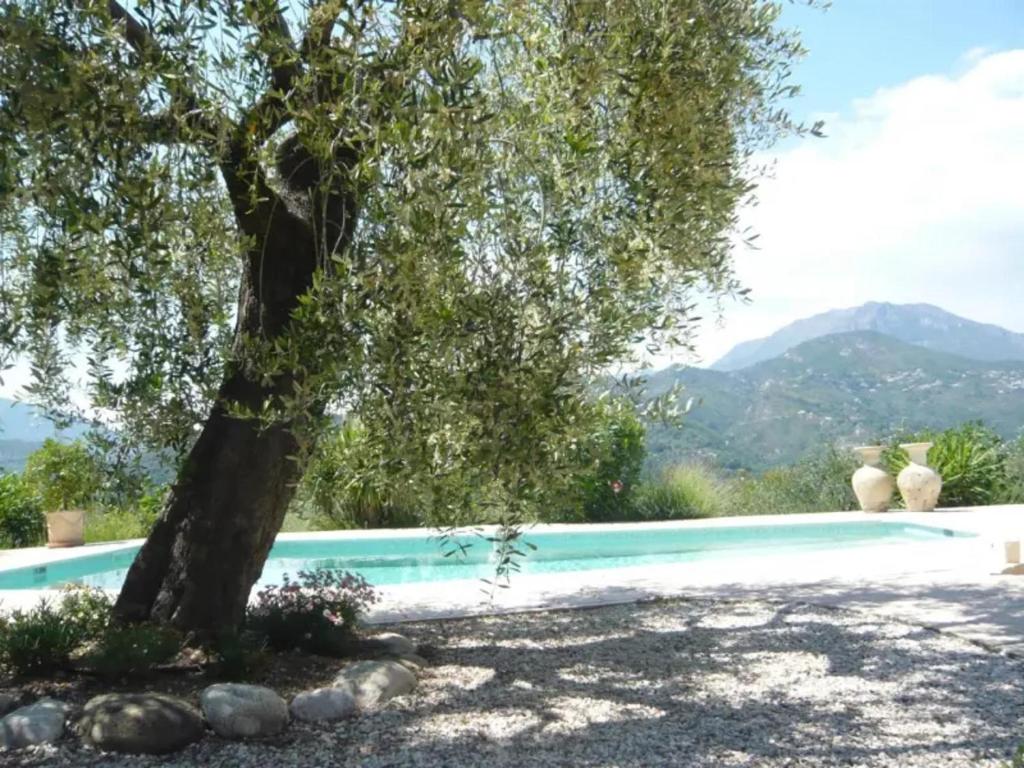 a tree next to a swimming pool with a tree at Stunning Mountain Views with Secluded Private Pool in La Roquette-sur-Var