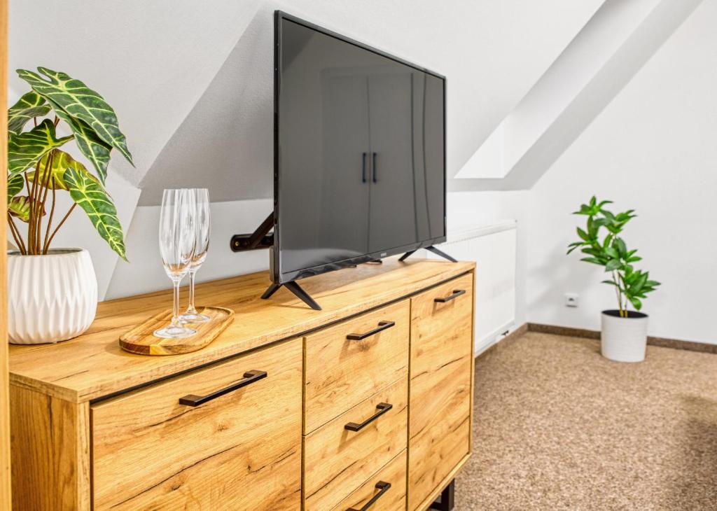 TV a/nebo společenská místnost v ubytování Hotel a Restaurace Růže