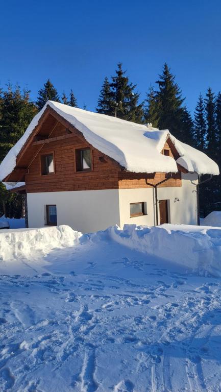 a house covered in snow with a pile of snow at Chata Krpko in Horná Lehota