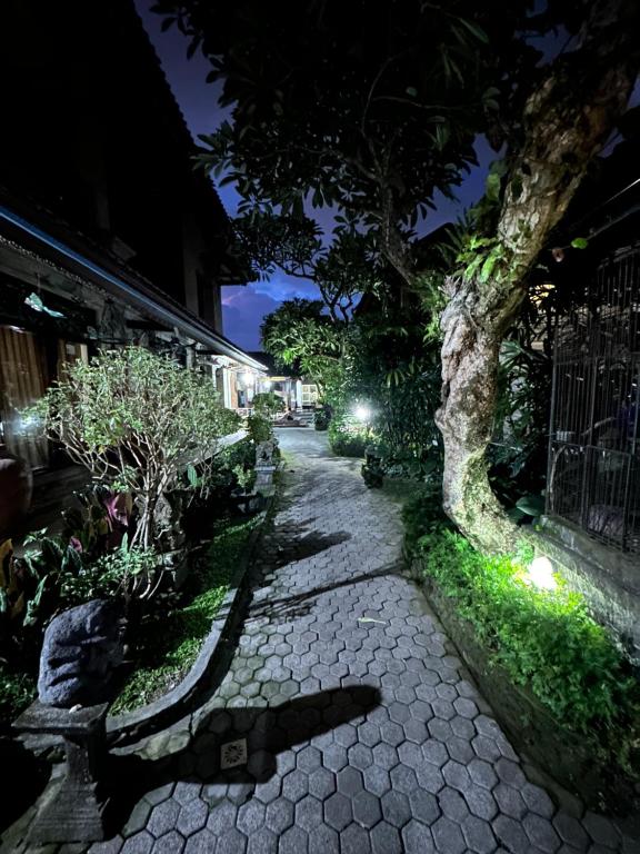 Zahrada ubytování Nirvana Pension