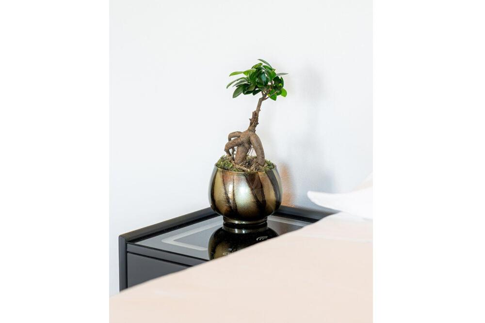 Bes Residence Bergamo Polaresco - 19